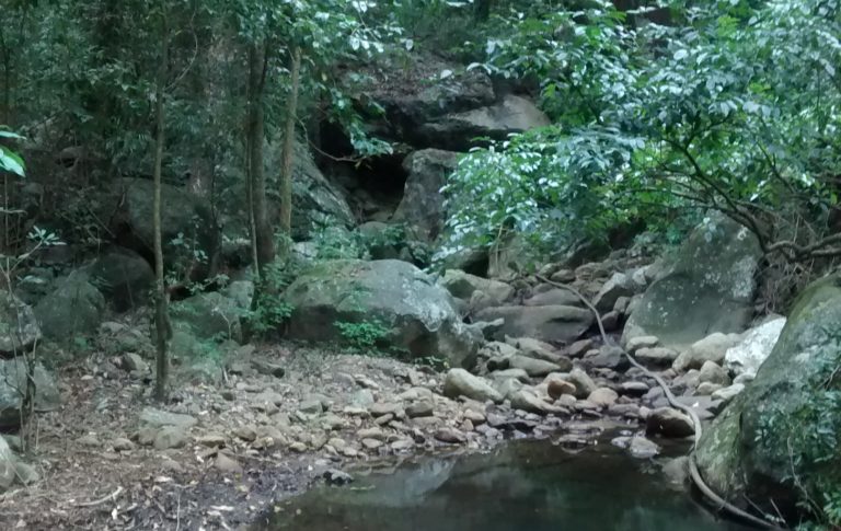 groundwater – Nilgiris Water Portal